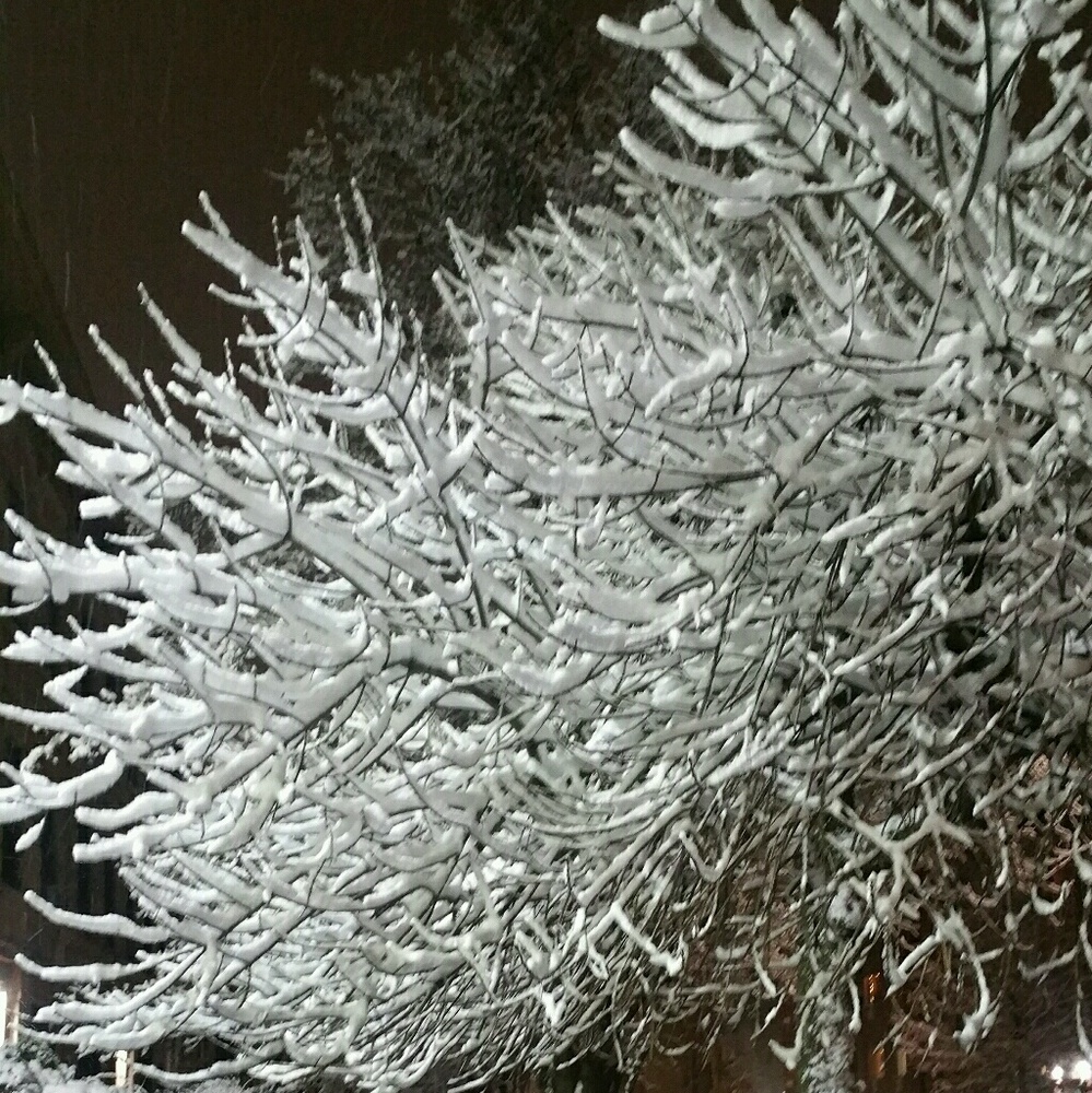 Meet your Posher, Am