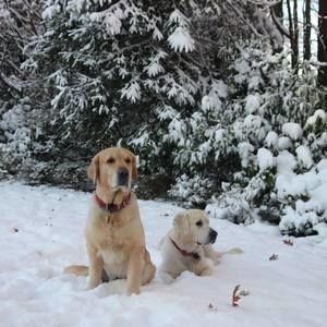 Meet your Posher, Johanna