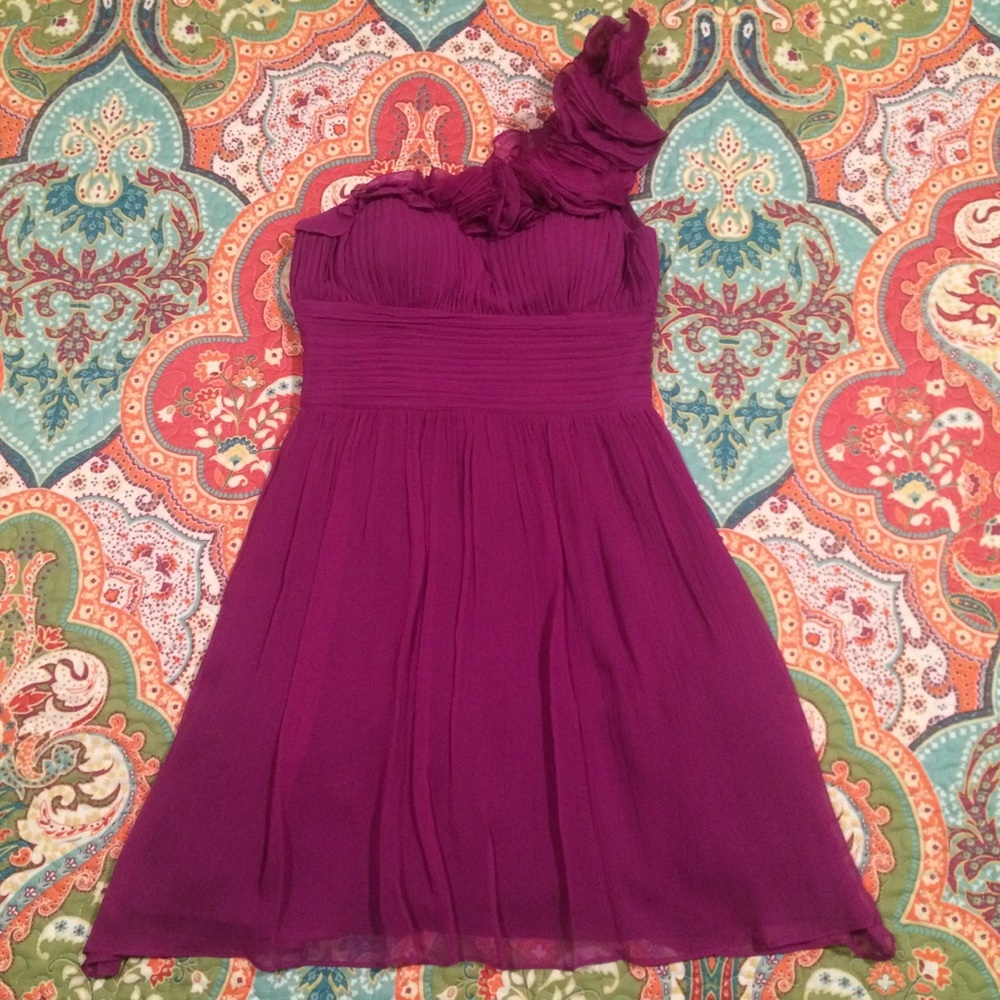 100% Silk dress wedding party from Cache