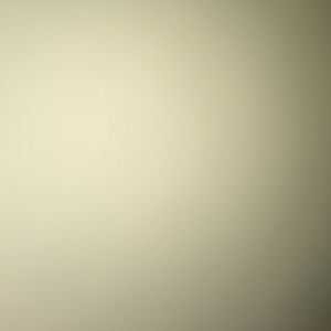 Meet your Posher, Dallas