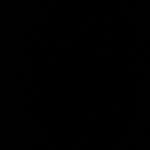 Meet your Posher, Yazmin