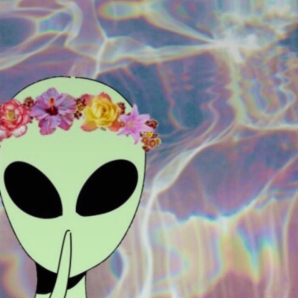 Meet your Posher, Teddy