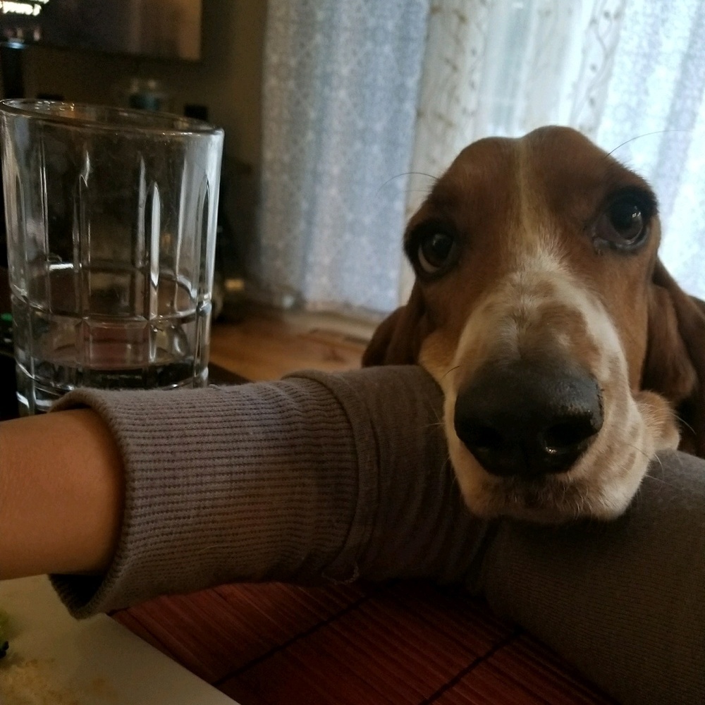 Meet your Posher, Tania