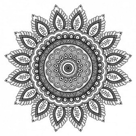 Meet your Posher, Chloe - Picture 1 of 1