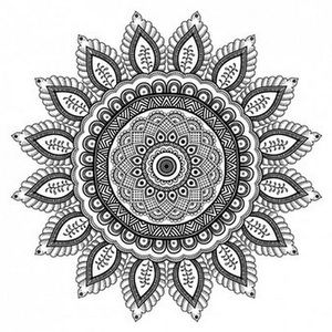 Meet your Posher, Chloe