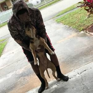 Meet your Posher, Forest