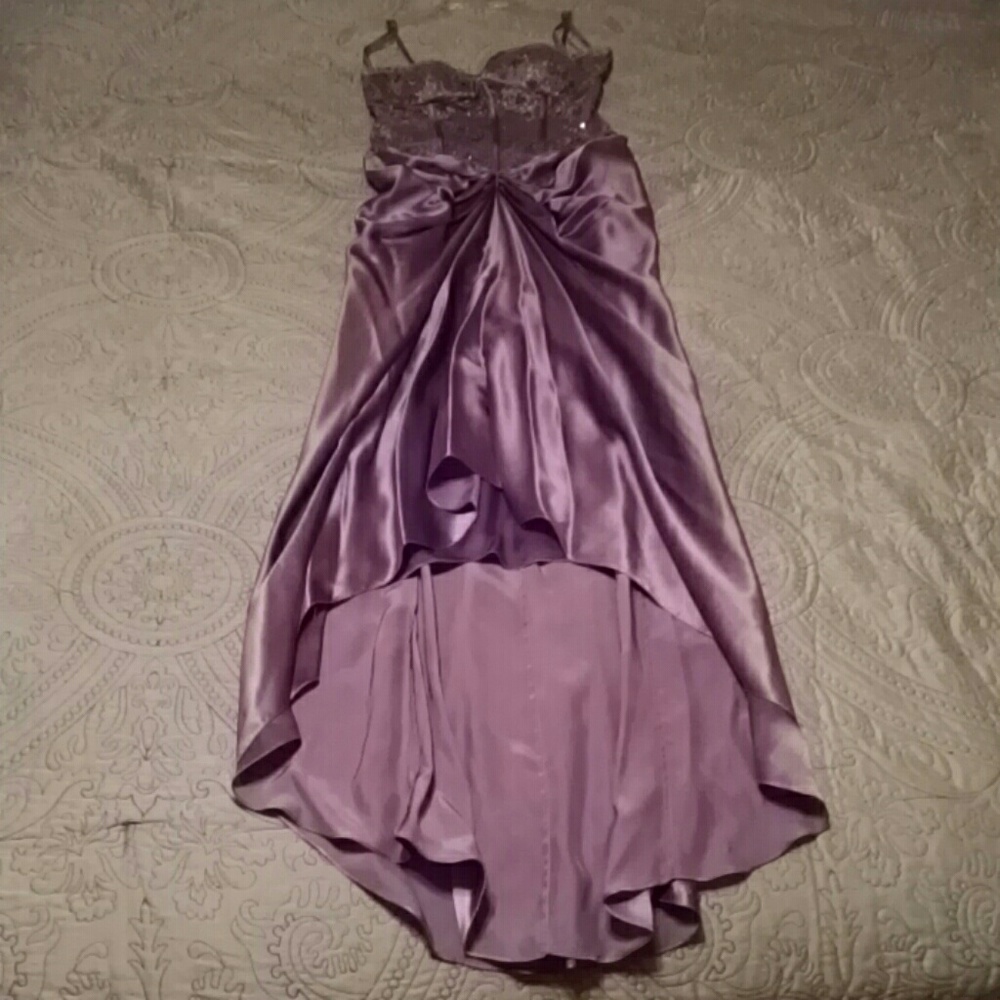 Cache Evening/Prom Dress