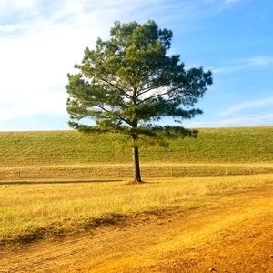 Meet your Posher, Sarai