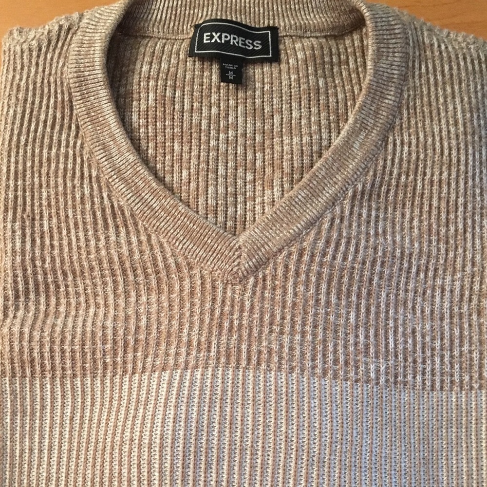 Express Medium V-Neck Sweater