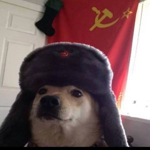 Meet your Posher, Alexander