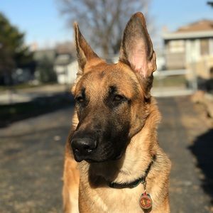 Meet your Posher, Cody