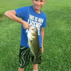 Meet your Posher, Bentley