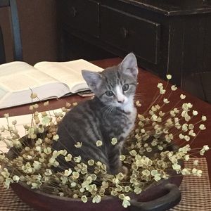 Meet your Posher, Melissa