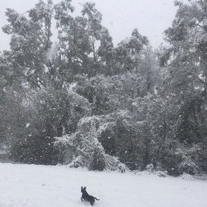 Meet your Posher, Paige