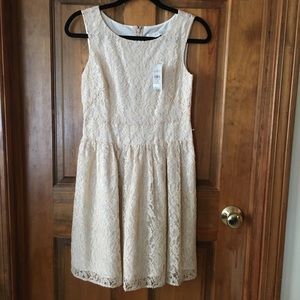 Lace dress from Loft