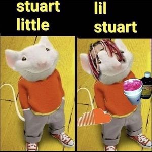 Meet your Posher, George