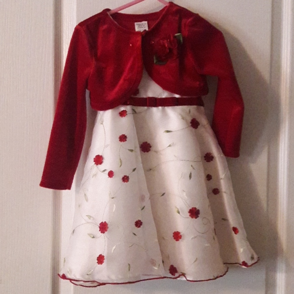 Beautiful 3T winter dress