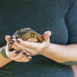 Meet your Posher, Amy