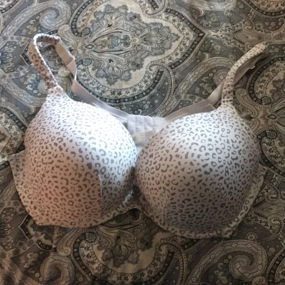 Cacique Full Coverage Smooth, Boost, Plunge 44D