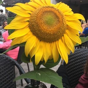 Meet your Posher, Val