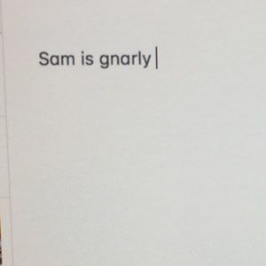 Meet your Posher, Sam