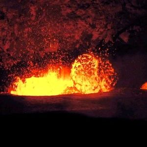 Meet your Posher, Roxanne