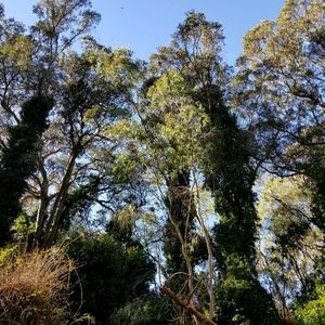 Meet your Posher, Scott