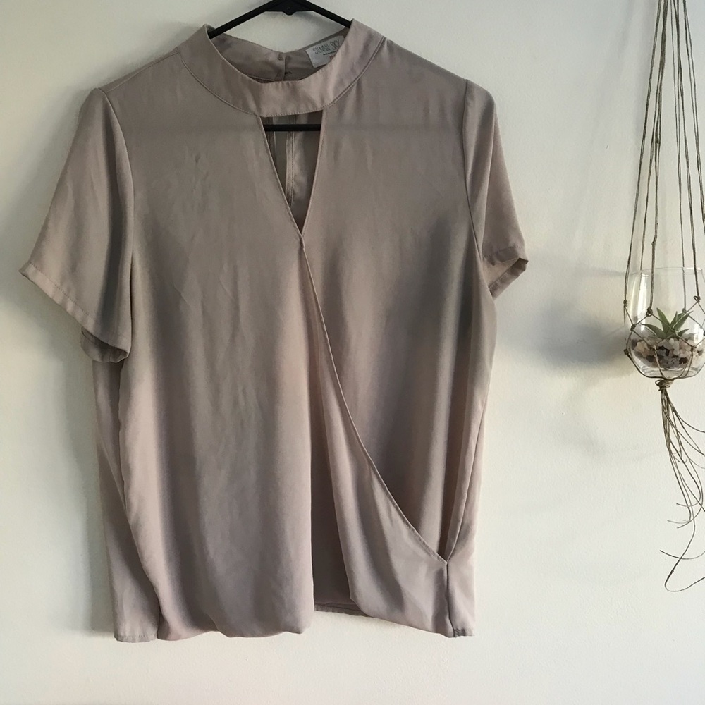 Blush Chiffon Choker Neck Blouse