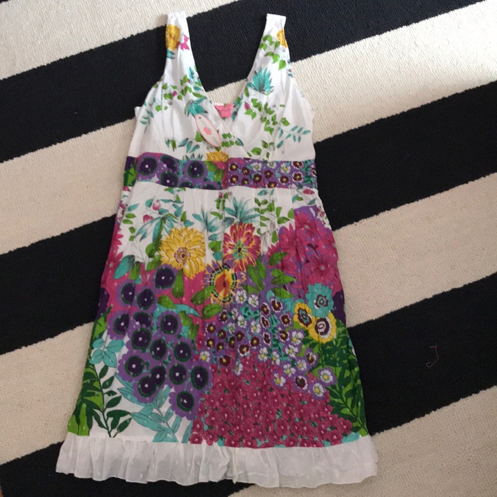 NWT Pink Apple Floral Dress