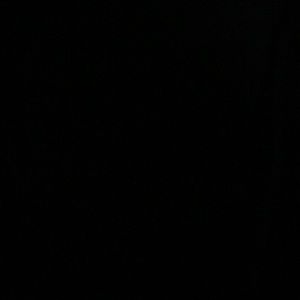 Meet your Posher, Julius