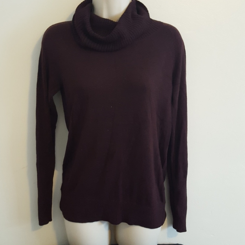 Eggplant turtleneck