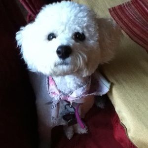 Meet your Posher, Courtney