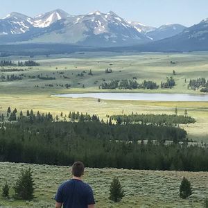 Meet your Posher, Collin