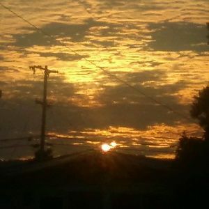 Meet your Posher, Enoc