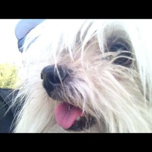 Meet your Posher, Martha