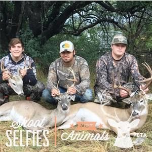 Meet your Posher, Shaun