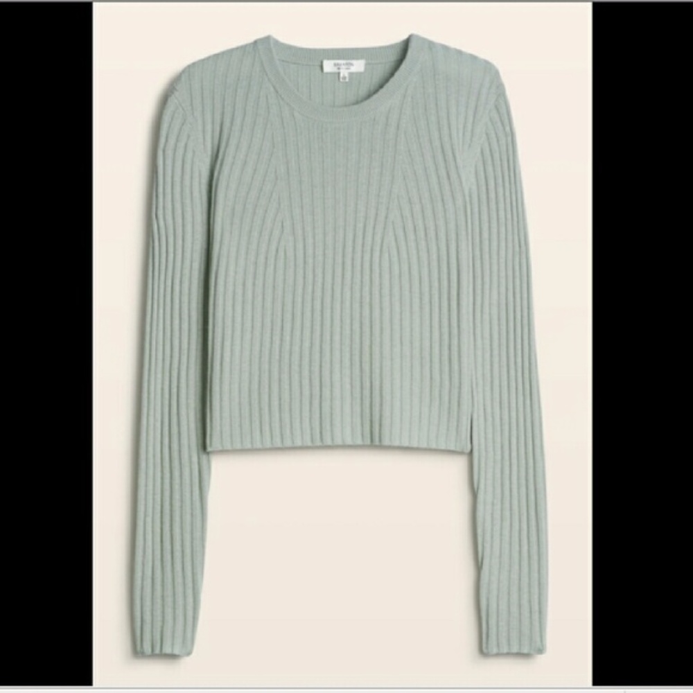 Aritzia  nathaniel sweater