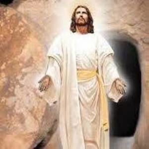 Meet your Posher, Jose