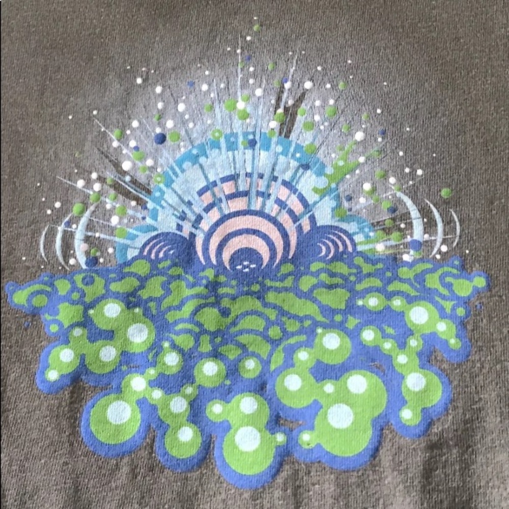 Vintage Phish tee from 1999 size large