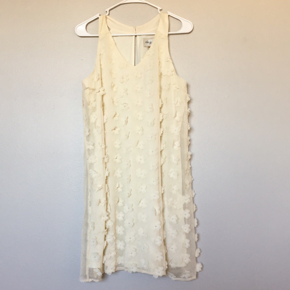 Floral Appliqué A-line Dress