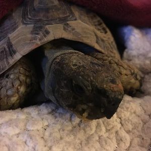 Meet your Posher, Angie