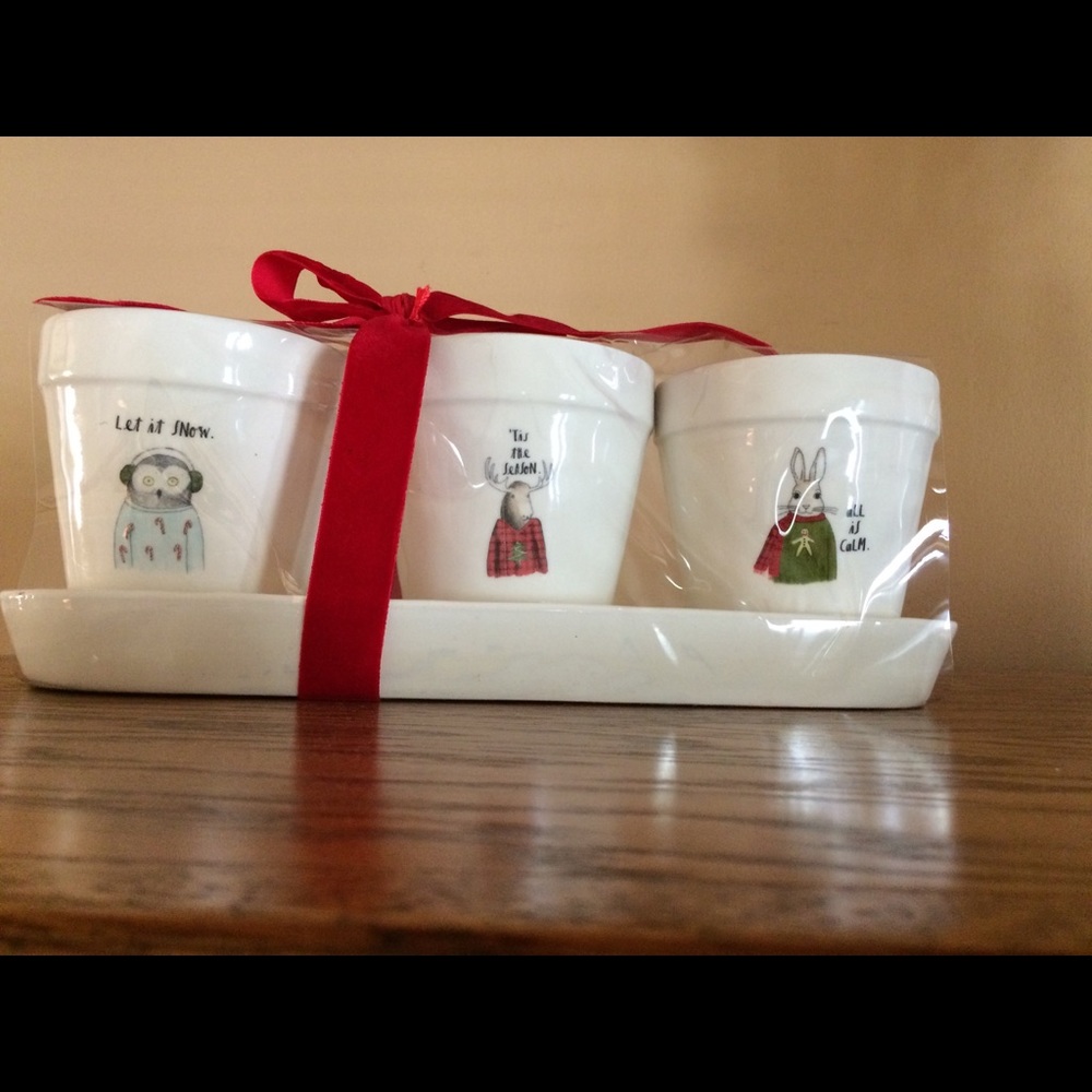 Rae Dunn Christmas Planter set