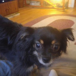 Meet your Posher, Lisa