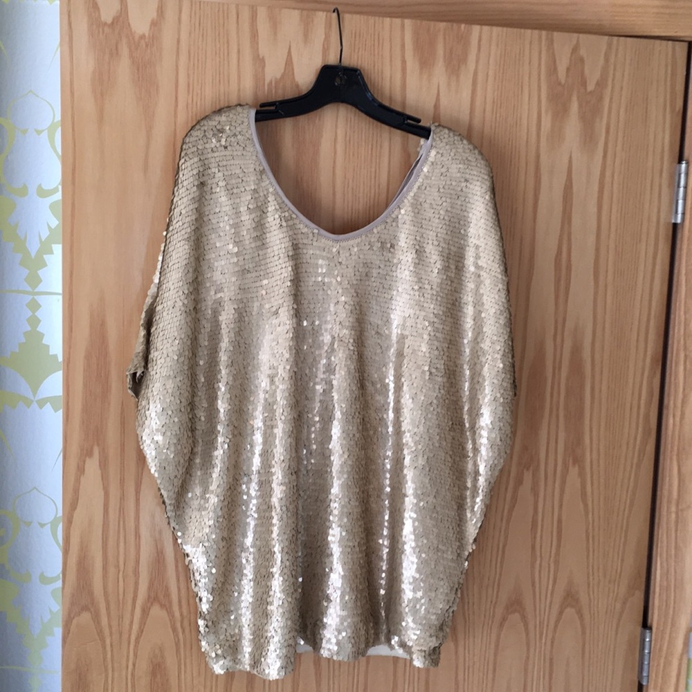 Rachel Zoe - Dolman sleeve matte sequins top.