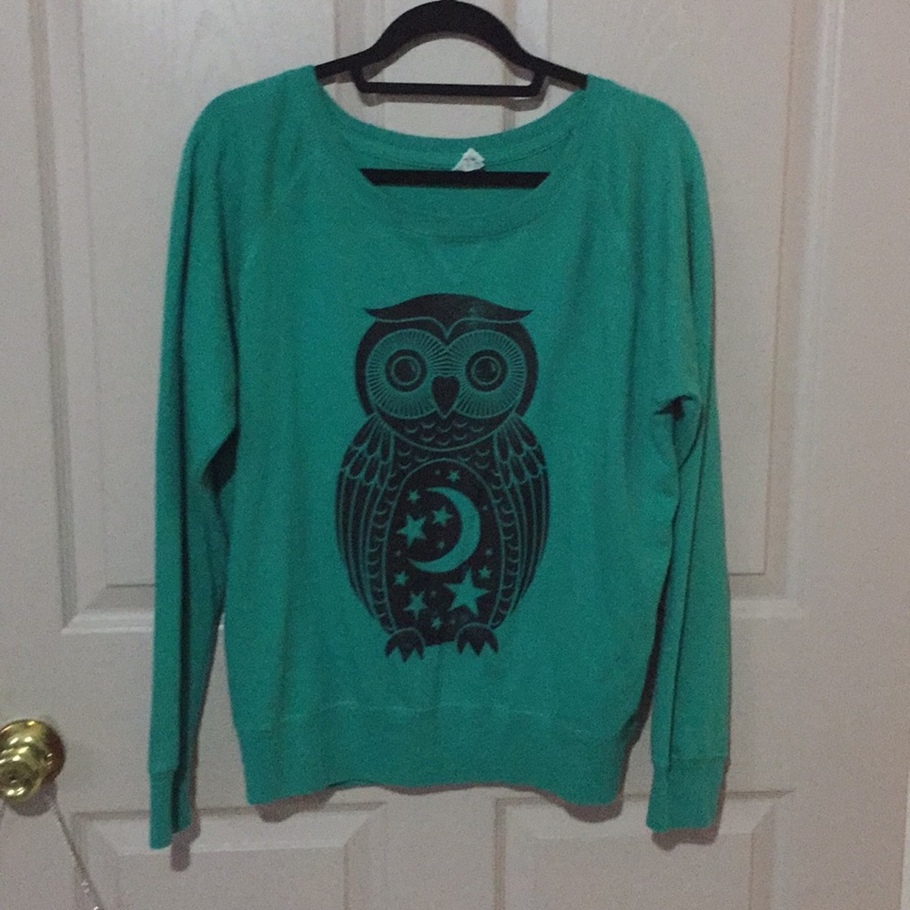 Blue, comfy, owl sweater.