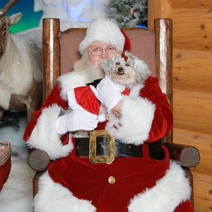 Meet your Posher, Cheryl saint