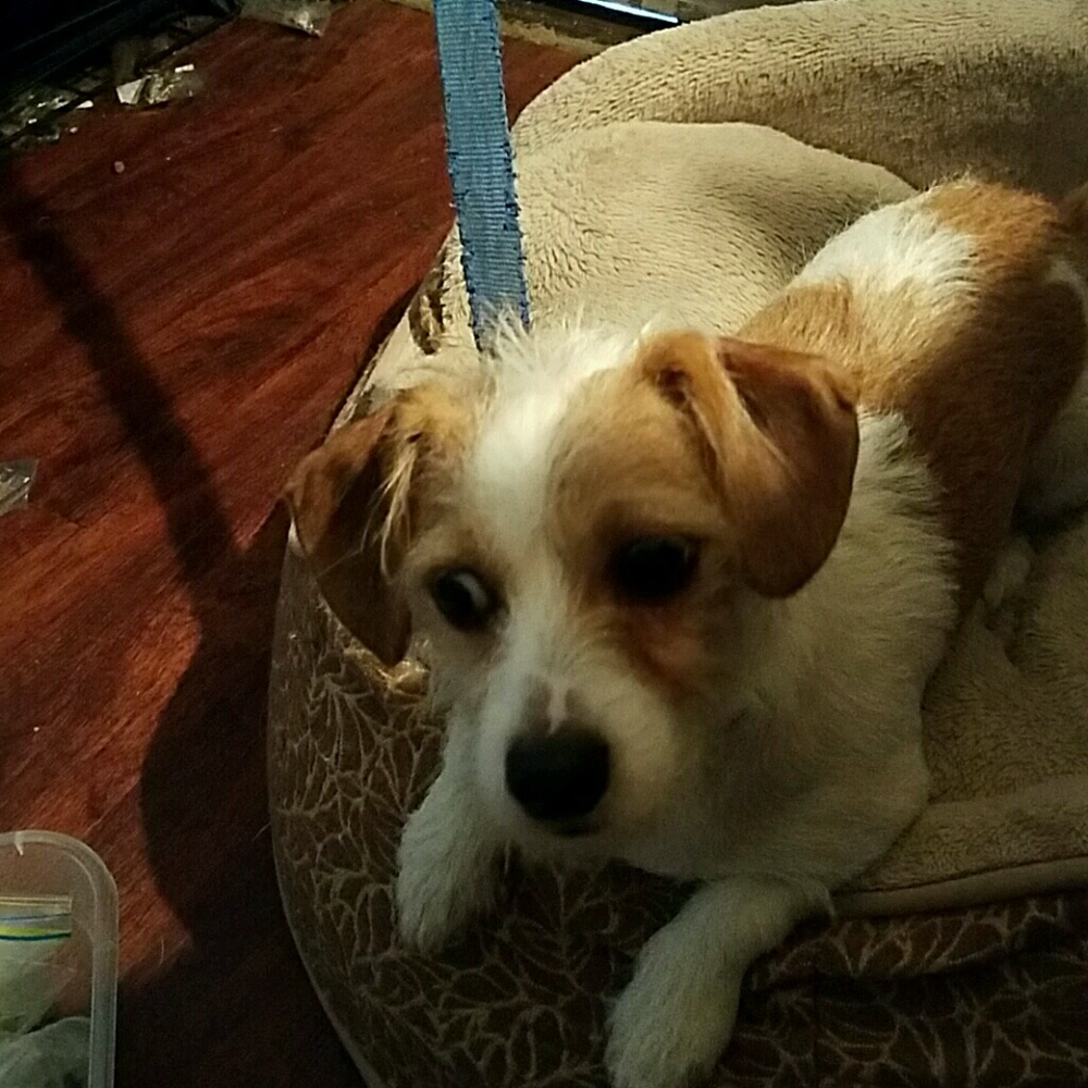 Meet your Posher, Joni