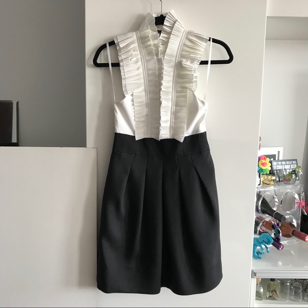 BCBG Poplin Formal Dress