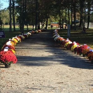 Meet your Posher, Kristi