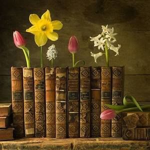 Meet your Posher, Noor